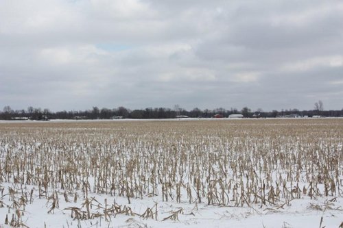 Property photo 7 - 491 Acres Offered in 17 Tracts