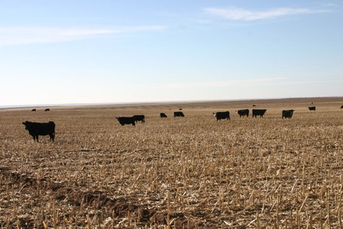 Property photo 20 - Southeast Colorado Land Auction - 8,724 Acres in 26 Tracts