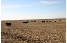 Property photo 20 - Southeast Colorado Land Auction - 8,724 Acres in 26 Tracts