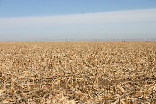 Property photo 28 - Southeast Colorado Land Auction - 8,724 Acres in 26 Tracts