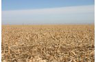 Property photo 28 - Southeast Colorado Land Auction - 8,724 Acres in 26 Tracts