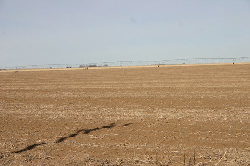 Property photo 14 - Southeast Colorado Land Auction - 8,724 Acres in 26 Tracts