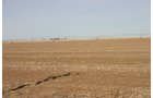 Property photo 14 - Southeast Colorado Land Auction - 8,724 Acres in 26 Tracts