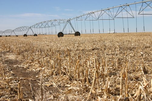 Property photo 9 - Southeast Colorado Land Auction - 8,724 Acres in 26 Tracts
