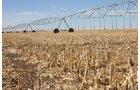 Property photo 9 - Southeast Colorado Land Auction - 8,724 Acres in 26 Tracts