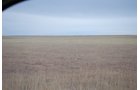 Tract 13 - Southeast Colorado Land Auction - 8,724 Acres in 26 Tracts