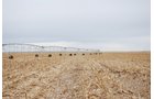Tract 1 - Southeast Colorado Land Auction - 8,724 Acres in 26 Tracts