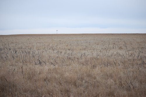 Tract 21 - CRP - Southeast Colorado Land Auction - 8,724 Acres in 26 Tracts