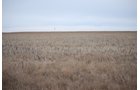 Tract 21 - CRP - Southeast Colorado Land Auction - 8,724 Acres in 26 Tracts