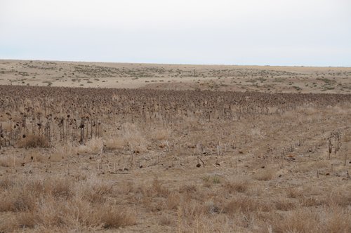 Tract 23 - Southeast Colorado Land Auction - 8,724 Acres in 26 Tracts
