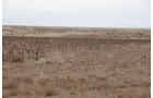 Tract 23 - Southeast Colorado Land Auction - 8,724 Acres in 26 Tracts