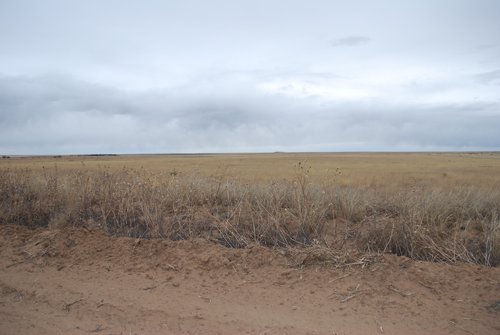 Tracts 10-11 - Southeast Colorado Land Auction - 8,724 Acres in 26 Tracts