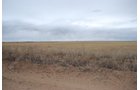 Tracts 10-11 - Southeast Colorado Land Auction - 8,724 Acres in 26 Tracts