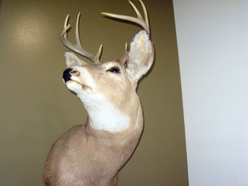 Property photo 3 - Personal Property Auction