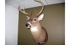 Property photo 43 - Personal Property Auction