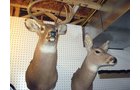 Property photo 25 - Personal Property Auction
