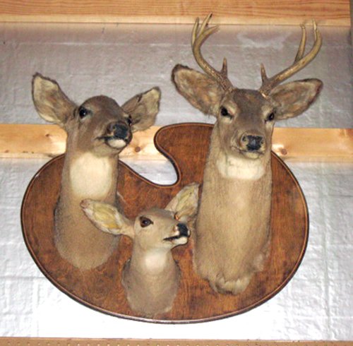 Property photo 17 - Personal Property Auction