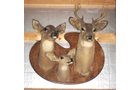 Property photo 17 - Personal Property Auction