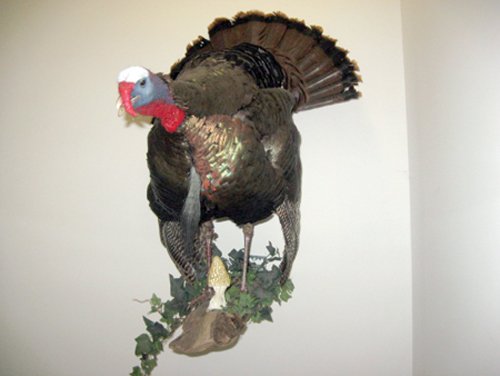 Property photo 38 - Personal Property Auction