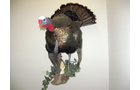 Property photo 38 - Personal Property Auction