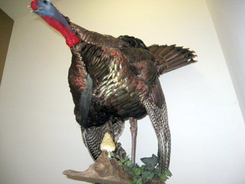 Property photo 34 - Personal Property Auction