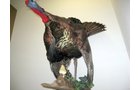 Property photo 34 - Personal Property Auction