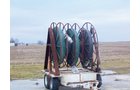 Property photo 11 - 2-Day Absolute Auction - 113 Acres in 5 Tracts & Farm Equipment