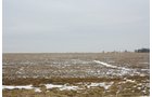 Property photo 68 - 2-Day Absolute Auction - 113 Acres in 5 Tracts & Farm Equipment