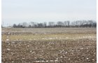 Property photo 92 - 2-Day Absolute Auction - 113 Acres in 5 Tracts & Farm Equipment