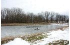 Property photo 158 - 2-Day Absolute Auction - 113 Acres in 5 Tracts & Farm Equipment