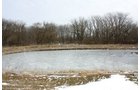 Property photo 129 - 2-Day Absolute Auction - 113 Acres in 5 Tracts & Farm Equipment