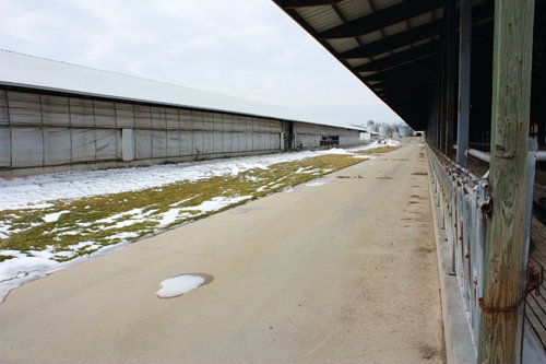 Property photo 131 - 2-Day Absolute Auction - 113 Acres in 5 Tracts & Farm Equipment