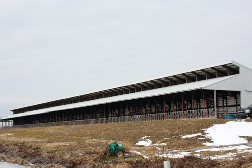 Property photo 2 - 2-Day Absolute Auction - 113 Acres in 5 Tracts & Farm Equipment