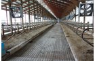 Property photo 116 - 2-Day Absolute Auction - 113 Acres in 5 Tracts & Farm Equipment