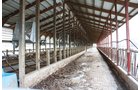 Property photo 72 - 2-Day Absolute Auction - 113 Acres in 5 Tracts & Farm Equipment
