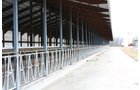 Property photo 63 - 2-Day Absolute Auction - 113 Acres in 5 Tracts & Farm Equipment