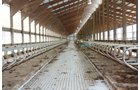 Property photo 121 - 2-Day Absolute Auction - 113 Acres in 5 Tracts & Farm Equipment