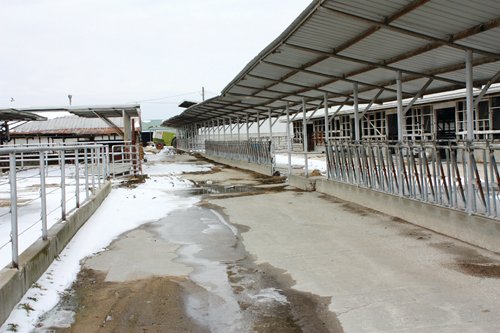 Property photo 15 - 2-Day Absolute Auction - 113 Acres in 5 Tracts & Farm Equipment