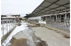 Property photo 15 - 2-Day Absolute Auction - 113 Acres in 5 Tracts & Farm Equipment