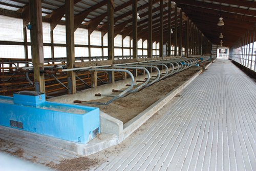 Property photo 133 - 2-Day Absolute Auction - 113 Acres in 5 Tracts & Farm Equipment