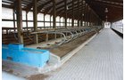 Property photo 133 - 2-Day Absolute Auction - 113 Acres in 5 Tracts & Farm Equipment
