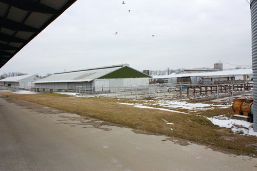 Property photo 84 - 2-Day Absolute Auction - 113 Acres in 5 Tracts & Farm Equipment