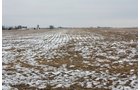Property photo 90 - 2-Day Absolute Auction - 113 Acres in 5 Tracts & Farm Equipment
