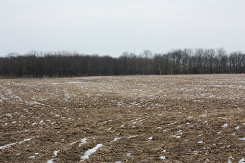 Property photo 117 - 2-Day Absolute Auction - 113 Acres in 5 Tracts & Farm Equipment