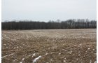 Property photo 117 - 2-Day Absolute Auction - 113 Acres in 5 Tracts & Farm Equipment