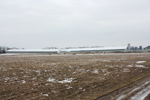 Property photo 56 - 2-Day Absolute Auction - 113 Acres in 5 Tracts & Farm Equipment