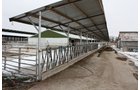 Property photo 22 - 2-Day Absolute Auction - 113 Acres in 5 Tracts & Farm Equipment