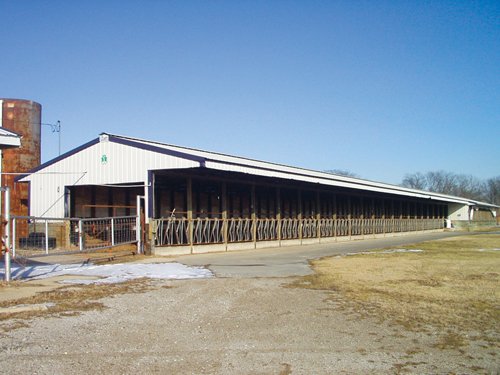 Property photo 128 - 2-Day Absolute Auction - 113 Acres in 5 Tracts & Farm Equipment