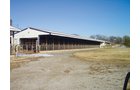 Property photo 54 - 2-Day Absolute Auction - 113 Acres in 5 Tracts & Farm Equipment