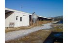 Property photo 38 - 2-Day Absolute Auction - 113 Acres in 5 Tracts & Farm Equipment
